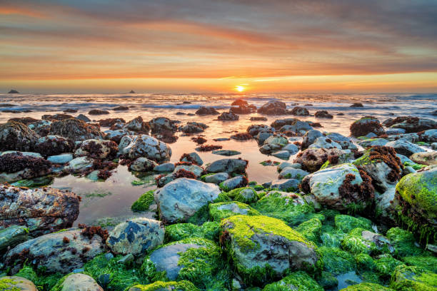 Stock photograph of the Pacific coastline at Big Sur, California, USA, during sunset.