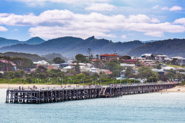 People walking on Coffs Harbour Jetty People walking on Coffs Harbour Jetty coffs harbour stock pictures, royalty-free photos & images