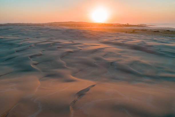 istock Sunrise over pristine sand dunes near the ocean. 1131027857