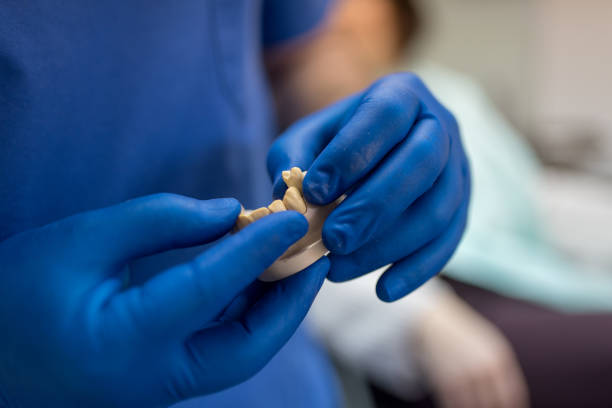 istock Dentist showing dental jaw model 1131028721
