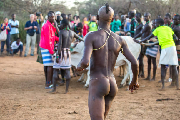 Ethiopia: Bull Jumping Ceremony A young man successfully performs in a Bull Jumping Ceremony near Turmi. The Hamer ceremony is a rite of passage for boys turning into men. hamer tribe photos stock pictures, royalty-free photos & images