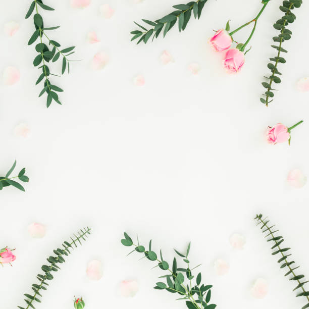 istock Flower frame of pink roses and eucalyptus branches on white background. Flat lay, top view 1131043257