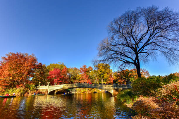istock Bow Bridge, Central Park in Autumn 1131046378