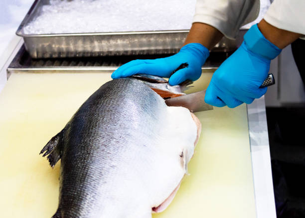 istock chef slicing raw fresh salmon, Chef preparing a fresh salmon on a cutting board 1131046424
