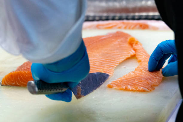 istock chef slicing raw fresh salmon, Chef preparing a fresh salmon on a cutting board 1131046452