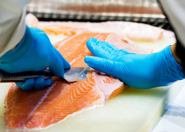 istock chef slicing raw fresh salmon, Chef preparing a fresh salmon on a cutting board 1131046458