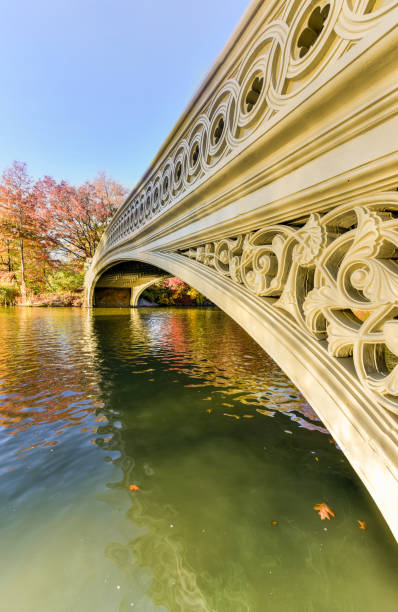 istock Bow Bridge, Central Park in Autumn 1131046694