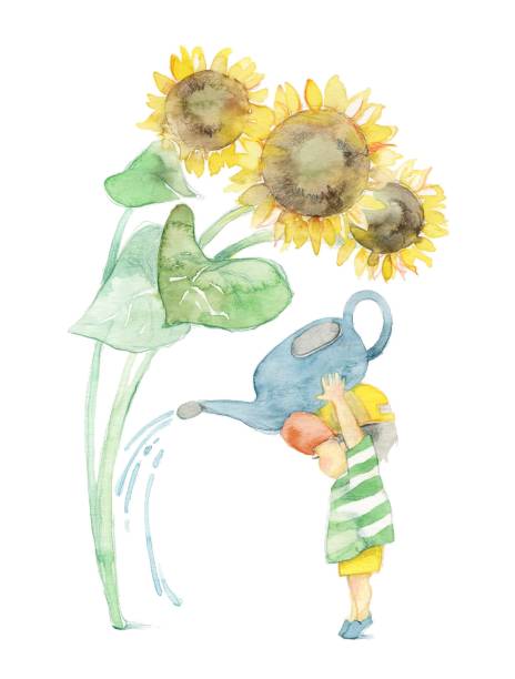 ilustrações, clipart, desenhos animados e ícones de imagem das férias de verão - sunflower side view yellow flower