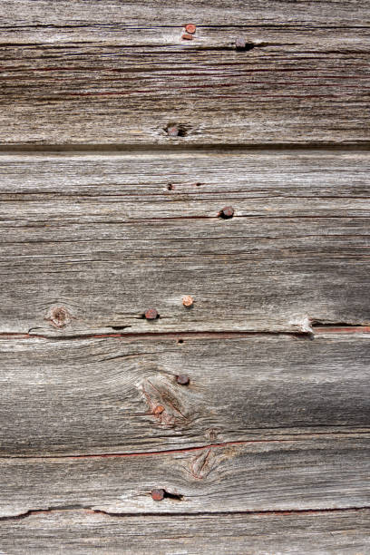istock exterior wood texture/background. 1131058316