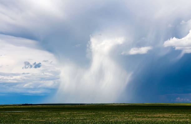 istock Rain storm, view of cloudburst and rainfall over plain lands 1131063339