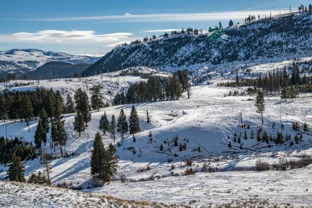 istock Yellowstone's Lamar Valley in winter 1131063733
