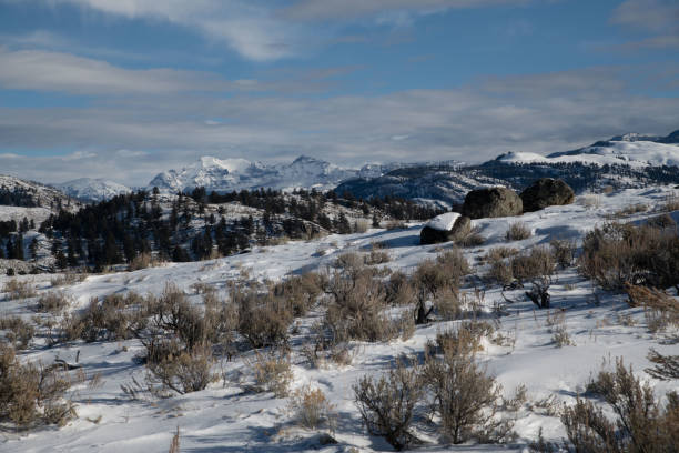istock Yellowstone's Lamar Valley in winter 1131065661