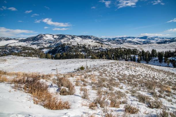 istock Yellowstone's Lamar Valley in winter 1131065872