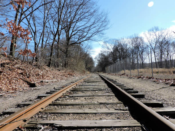 istock Old railroad tracks on beautiful winter day no snow 1131068510