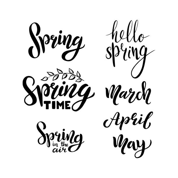 ilustrações de stock, clip art, desenhos animados e ícones de hello spring, march, april, may, calligraphic set - design element congrats design letter