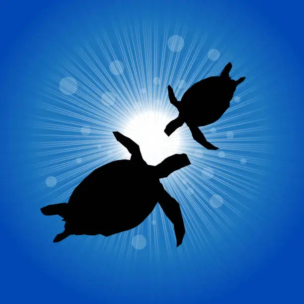 Vector illustration of The sea turtle swimming in the blue shining sea