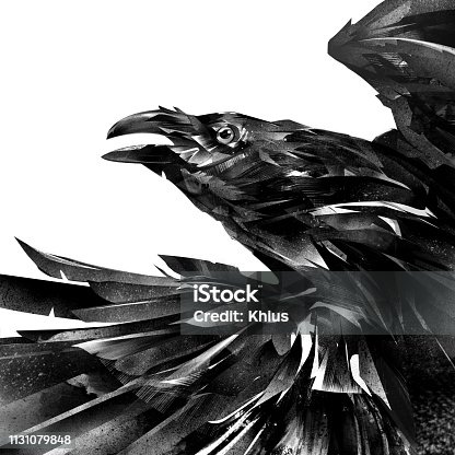 651 Crow Eye Illustrations & Clip Art - iStock | Raven, Bird eye, Feather