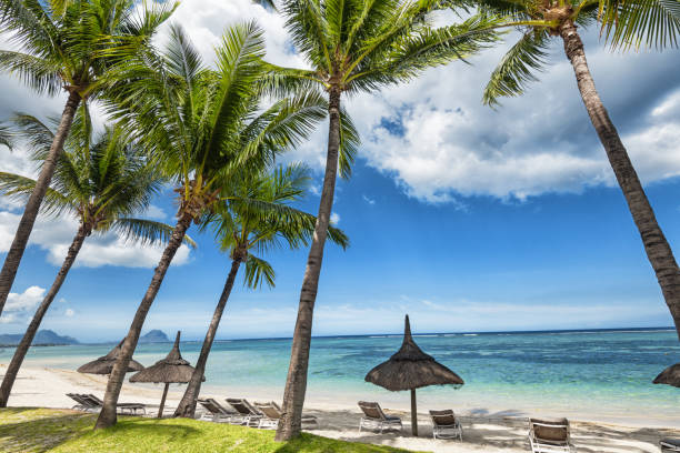 istock Tropical luxury beach holiday on island Mauritius 1131082015