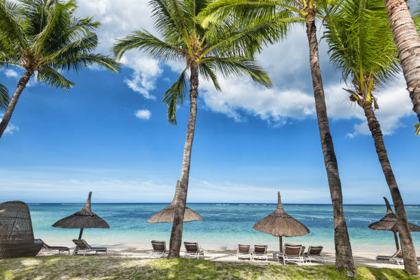Mauritius is an island in the Indian Ocean well known for its luxury vacation resorts, beaches, bays and cliffs. It’s also a destination to celebrate marriage or honeymoon. In the background you see mount Le Morne.