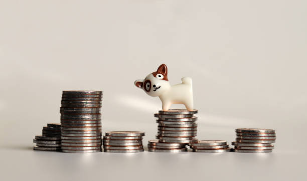 The pile of coins and a miniature dog. stock photo