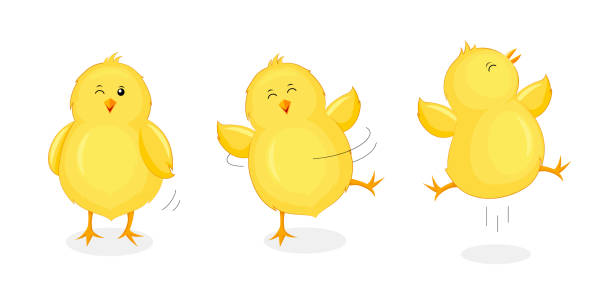 ilustrações de stock, clip art, desenhos animados e ícones de cute little chicks jumping and dancing. - chicken isolated yellow young animal