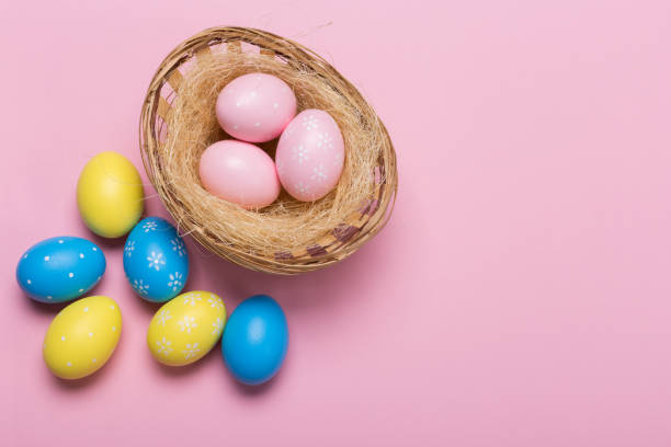 istock Colorfull easter eggs in nest on pastel color background with space. Concept 1131085742
