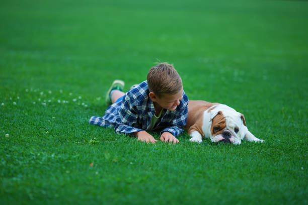 緑の草の公園の土地で晴れた日に公園で彼の犬のブルドッグと小さな男の子のティーンエイジャーは、彼の友人と一緒に生活を楽しみます - pets friendship green small ストックフォトと画像