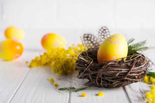 istock Minimal easter composition. Yellow decorative chicken egg in the nest. Mimosa flowers and feathers. Place for text 1131092641