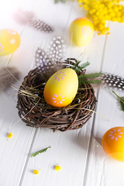 istock Minimal easter composition. Yellow decorative chicken egg in the nest. Mimosa flowers and feathers. Place for text 1131092683