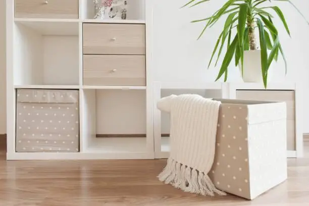 Modern furniture, white shelves, cozzy home interior