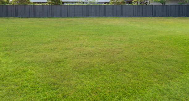 istock Green grass and black wall background 1131092738