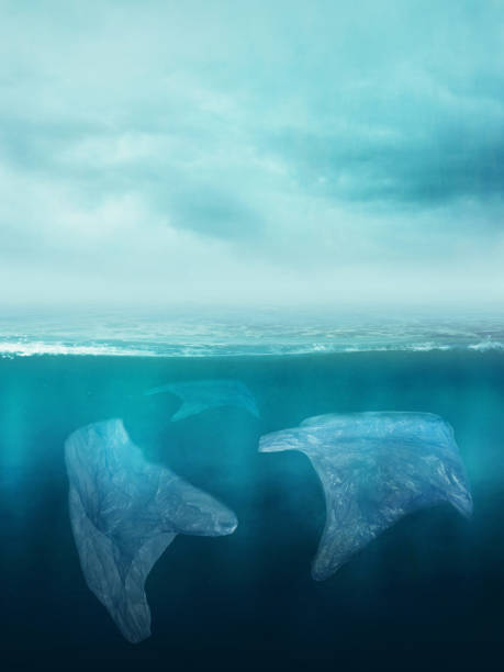 istock Plastic bags in the ocean 1131094281