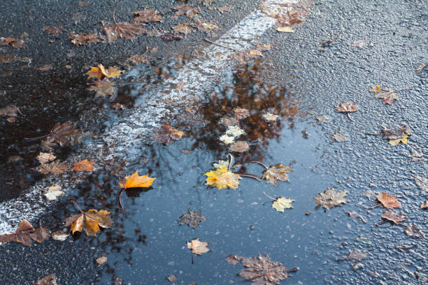 Autumn rain puddles with foliage on a car parking