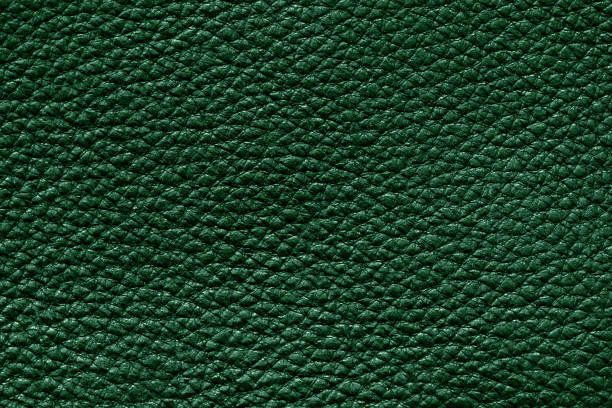 zielona skóra - leather green hide textured effect zdjęcia i obrazy z banku zdjęć