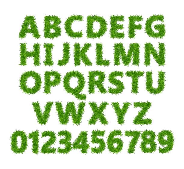 Green grass font. Lawn texture alphabet with numbers on white background. Green grass font. Lawn texture alphabet with numbers on white background. Vector illustration. computer icon symbol set alphabet stock illustrations