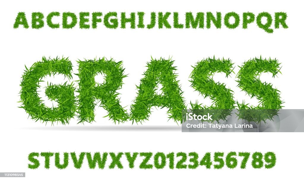 Green grass font. Lawn texture alphabet with numbers on white background. Green grass font. Lawn texture alphabet with numbers on white background. Vector illustration. Grass stock vector