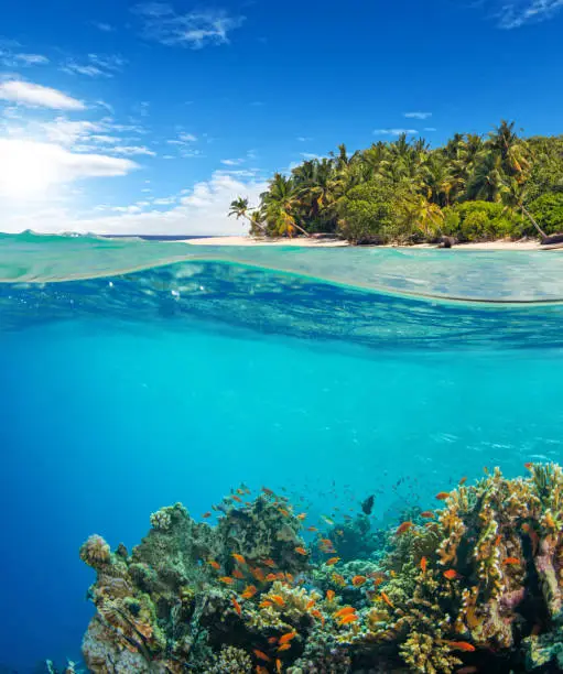 Under and above water surface view of coral reef. Underwater fauna and flora, marine life and exotic island on background