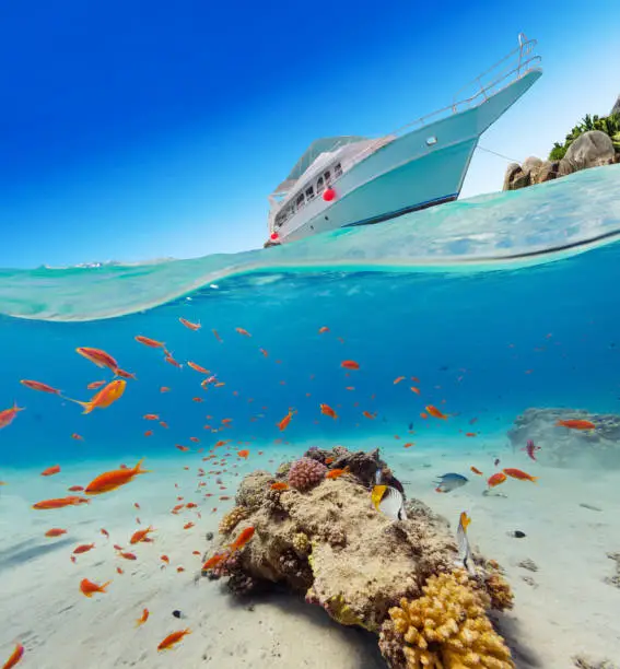 Under and above water surface view of coral reef. Underwater fauna and flora, marine life, exotic island and anchoring yacht on background