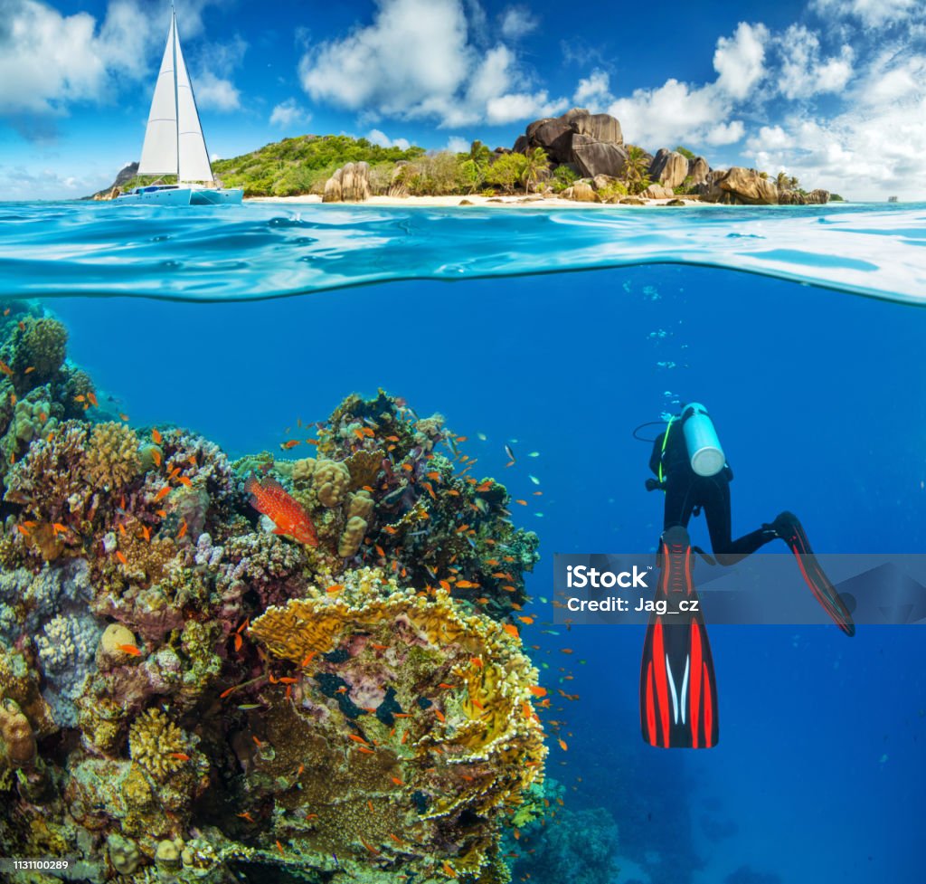 Young woman diver next to tropical island Young woman diver next to tropical island. Anchoring catamaran on background Diving Into Water Stock Photo
