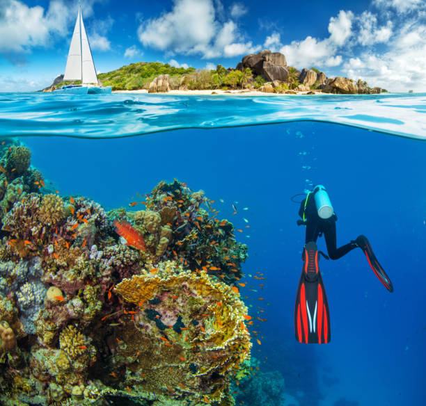 Young woman diver next to tropical island Young woman diver next to tropical island. Anchoring catamaran on background scuba diving photos stock pictures, royalty-free photos & images