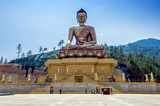 Buddha Dordenma is height 51.5 metres and it is made of bronze and gilded in gold.