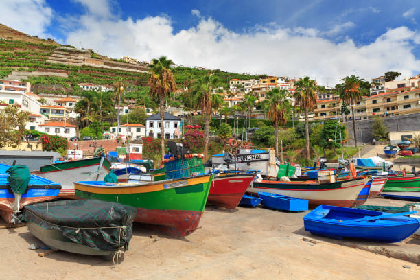 istock Camara de Lobos Boats Madeira 1131105238