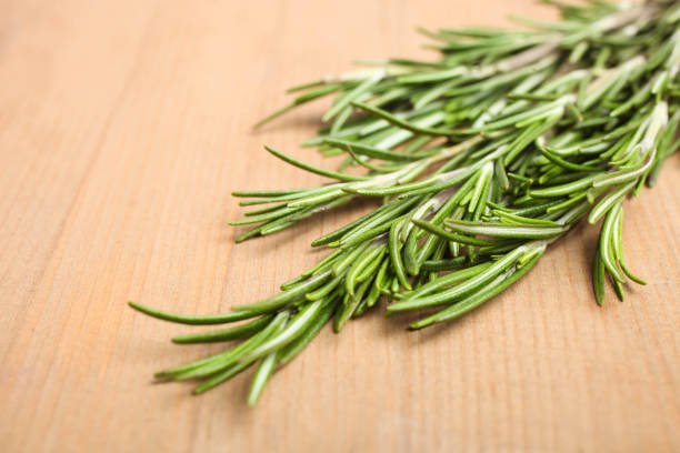 istock Fresh green rosemary 1131110819