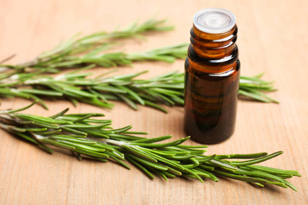 istock Fresh green rosemary 1131110829