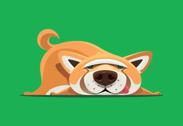 Vector illustration of Shiba Inu dog lying down