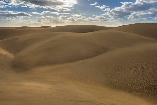 istock Barren desert landscape in the sunlight (Playa del ingles) 1131114379