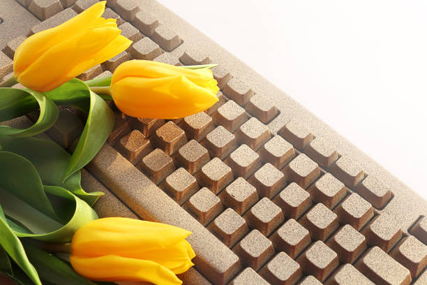 gelbe tulpenblüten und eine computertastatur auf hellem hintergrund. tastatur aus naturstein, dekor. selektiver fokus, kopierplatz. - офис stock-fotos und bilder