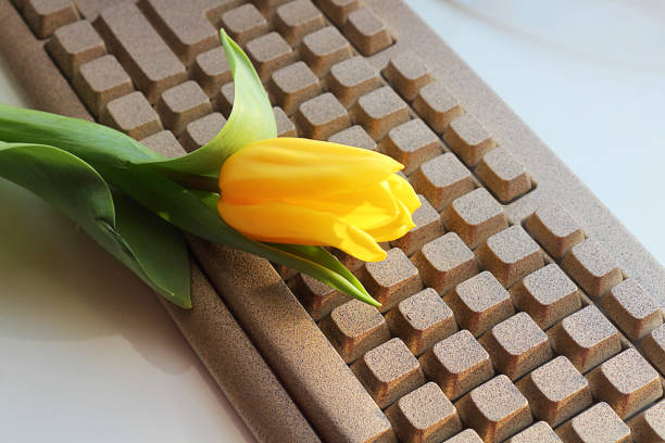 gelbe tulpenblüten und eine computertastatur auf hellem hintergrund. tastatur aus naturstein, dekor. selektiver fokus, kopierplatz. - офис stock-fotos und bilder
