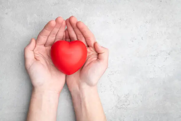 Photo of Red heart holding in female hands