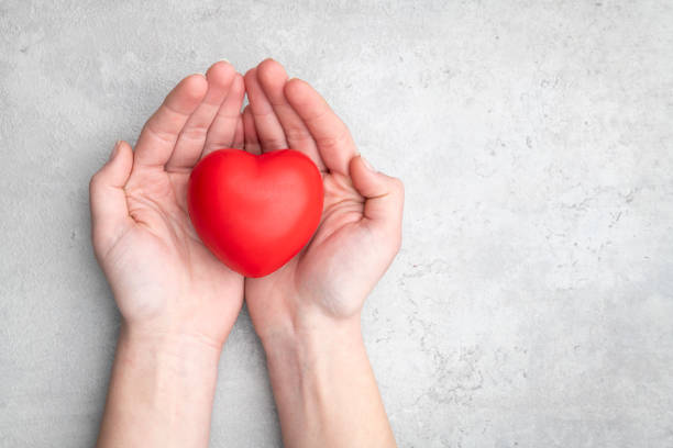 red heart holding in female hands - valentines day red photography indoors imagens e fotografias de stock